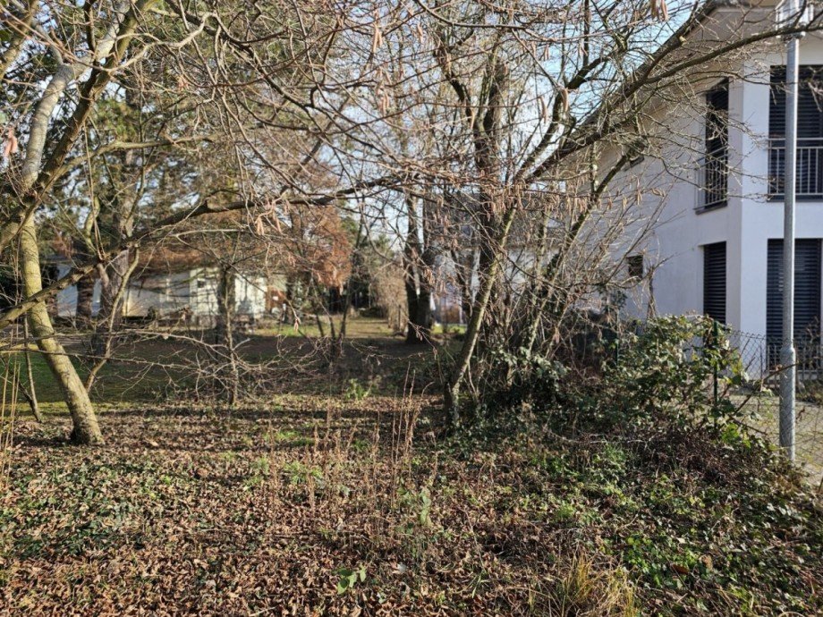 Impressionen Grundst�ck Wohngrundst�ck Schwetzingen