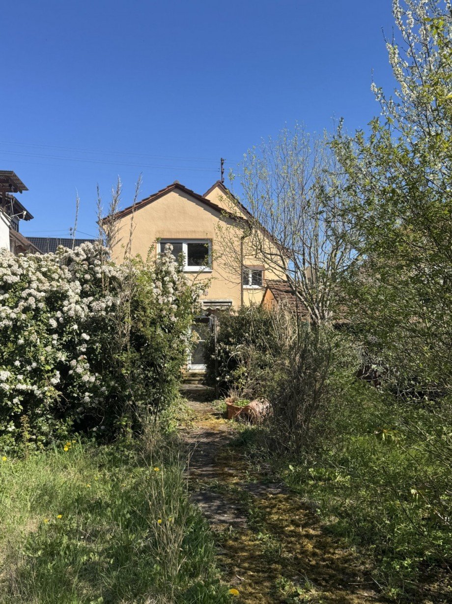 Gartenansicht Zweifamilienhaus Wiesloch