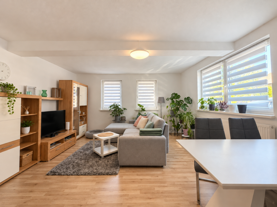 EG-Wohnzimmer Mehrfamilienhaus Eberbach
